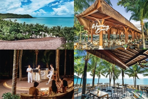 헤링 바 – 설날과 바닷바람이 만나는 곳